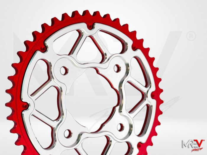 GSX-R150 Double Plates